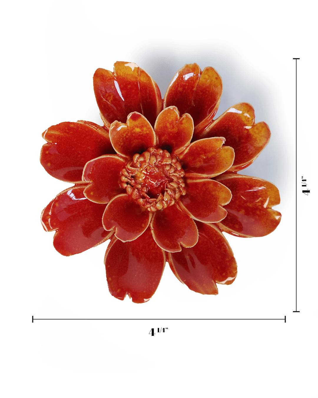 April Birth Flower - Daisy - Chive UK