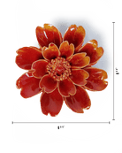 April Birth Flower - Daisy - Chive UK