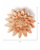 Peach Pink Strawflower - Chive UK