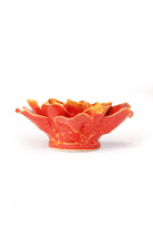 Orange Yellow Coreopsis - Chive UK