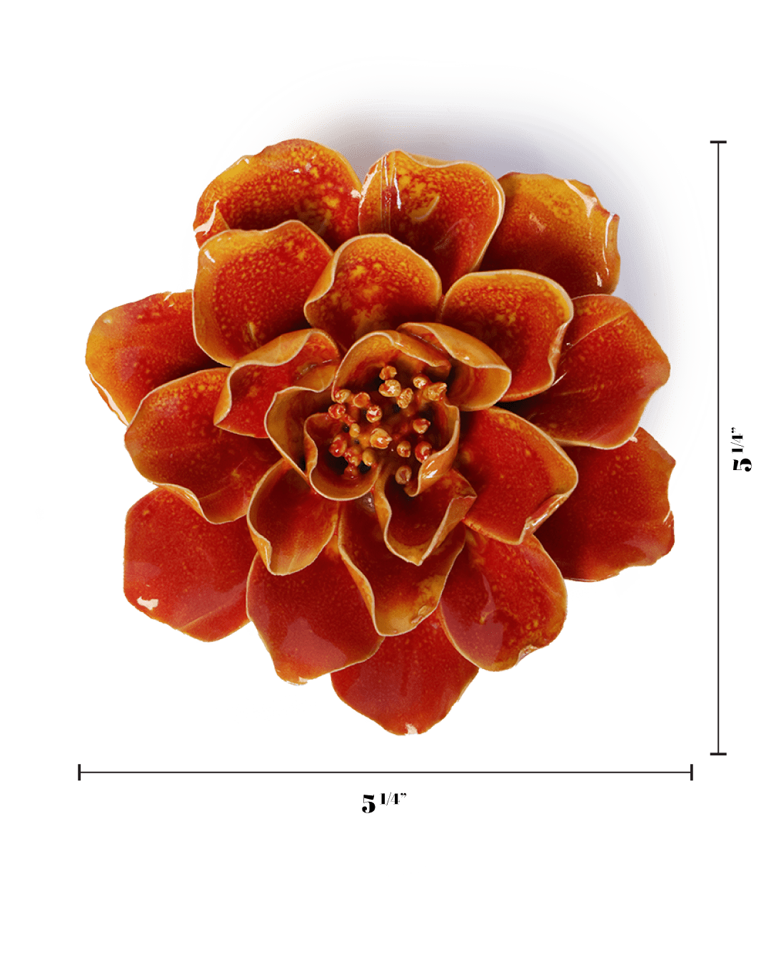 Orange Yellow Coreopsis - Chive UK