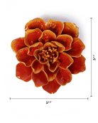 Orange Yellow Coreopsis - Chive UK