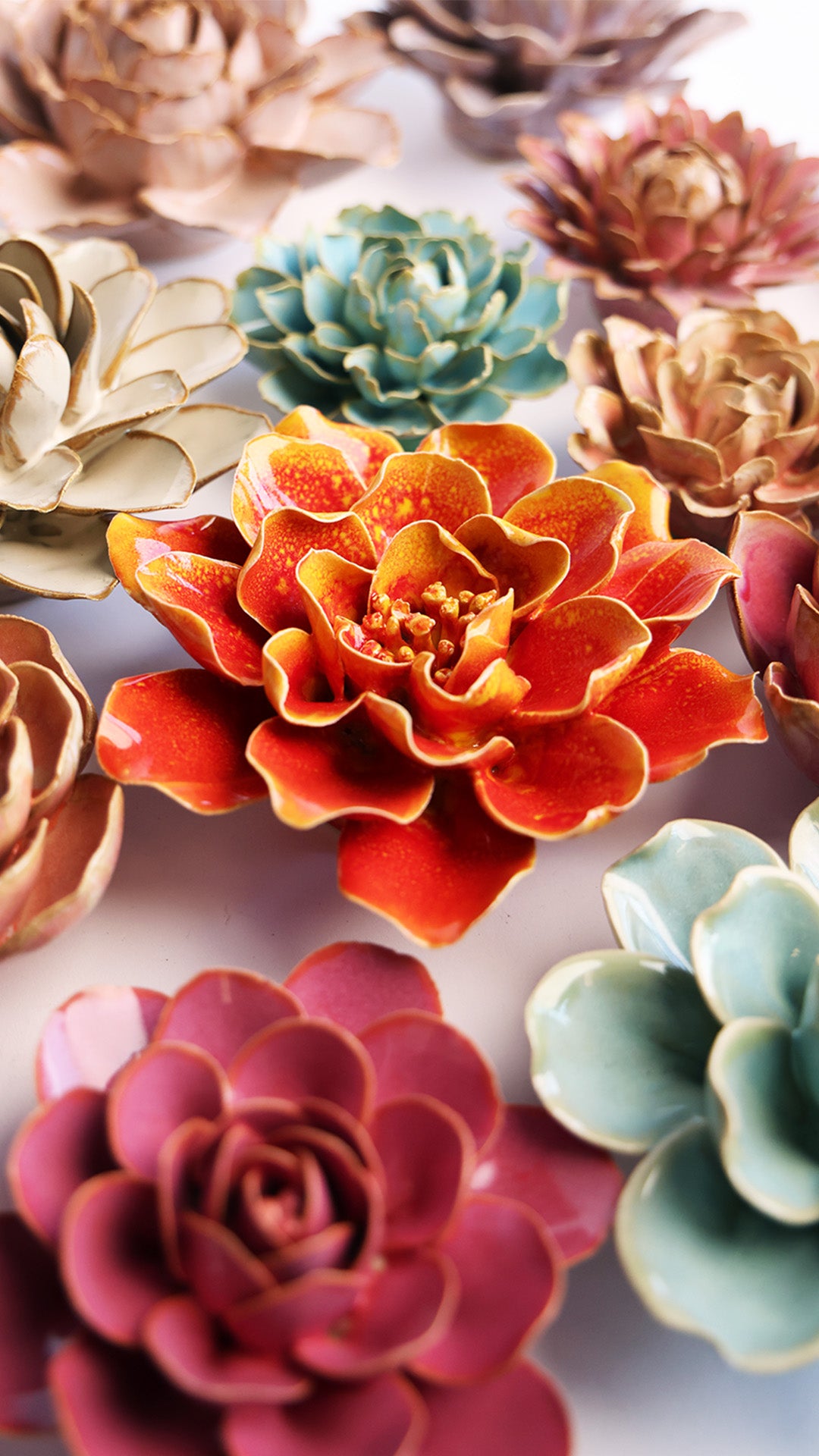 Orange Yellow Coreopsis - Chive UK