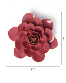 Blush Pink Begonia - Chive UK