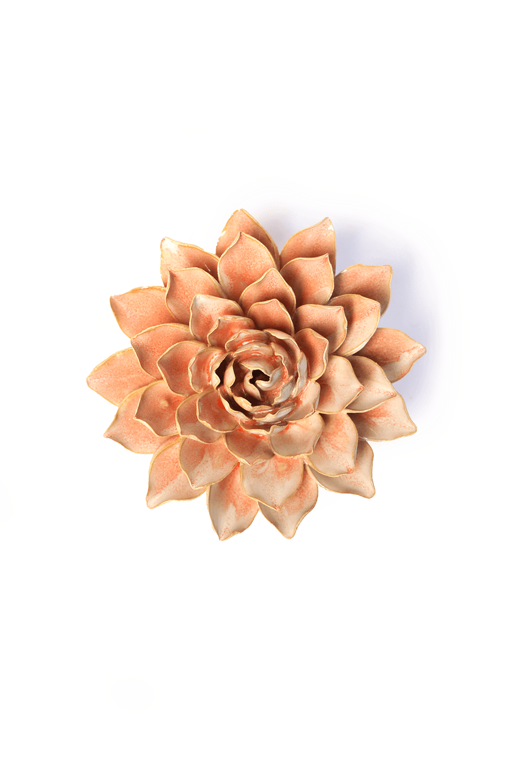 Peach Pink Madonna Azalea - Chive UK