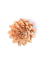 Peach Pink Madonna Azalea - Chive UK