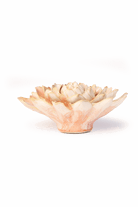 Peach Pink Madonna Azalea - Chive UK