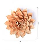 Peach Pink Madonna Azalea - Chive UK