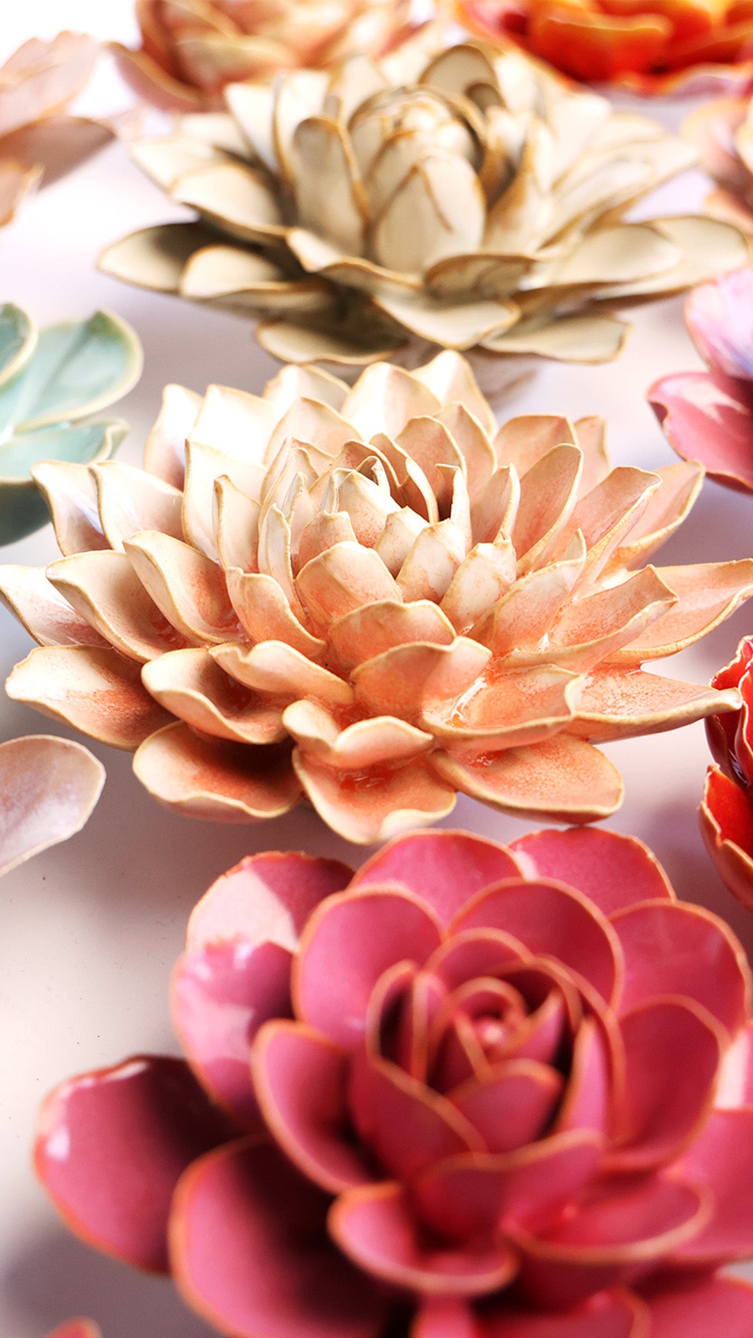 Peach Pink Madonna Azalea - Chive UK