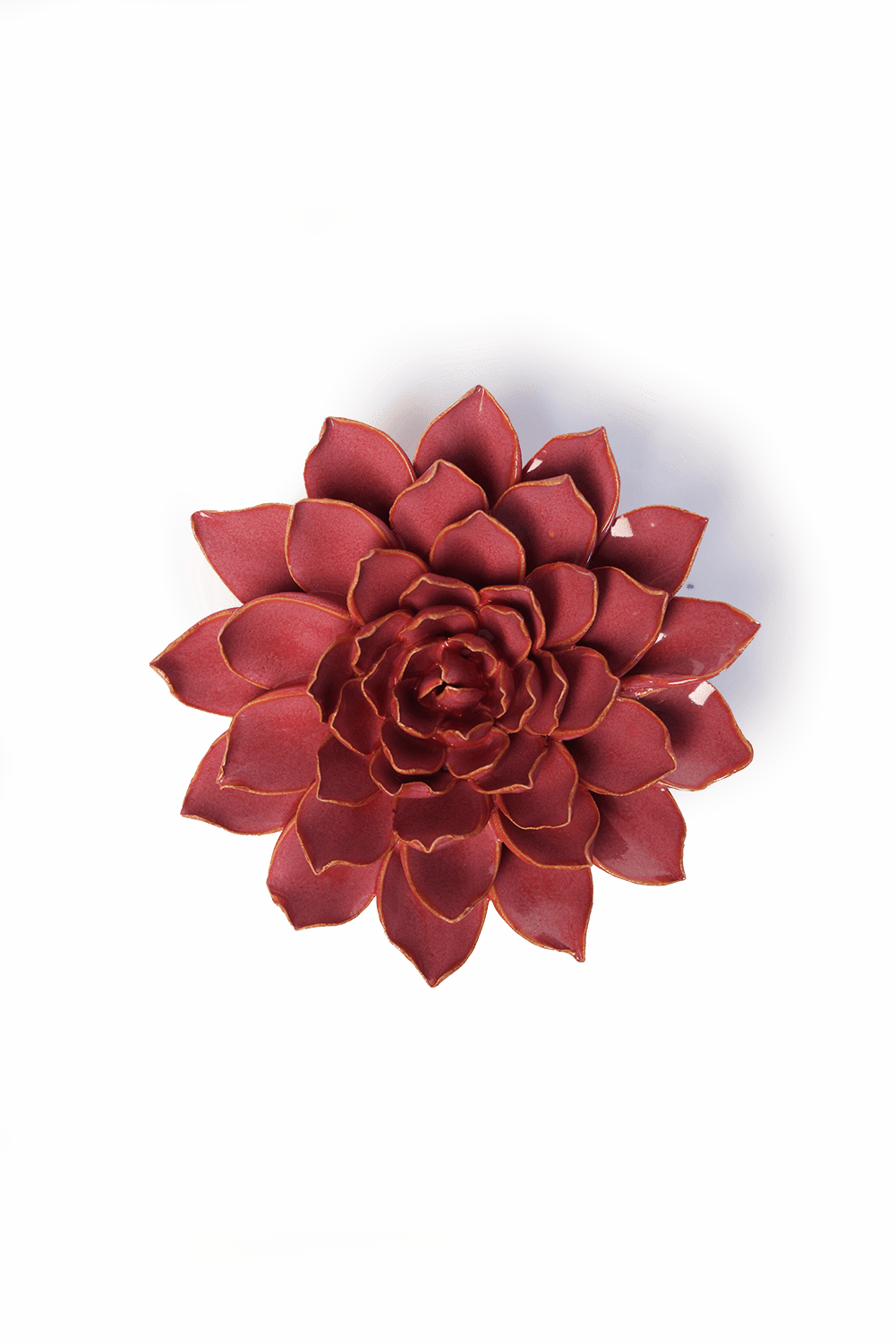 Blush Pink Madonna Azalea - Chive UK