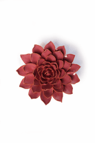 Blush Pink Madonna Azalea - Chive UK