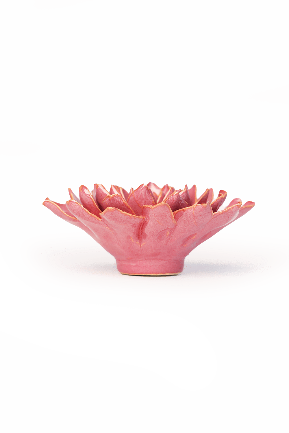 Blush Pink Madonna Azalea - Chive UK