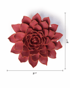 Blush Pink Madonna Azalea - Chive UK