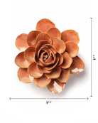 France Peach Pink Begonia - Chive UK