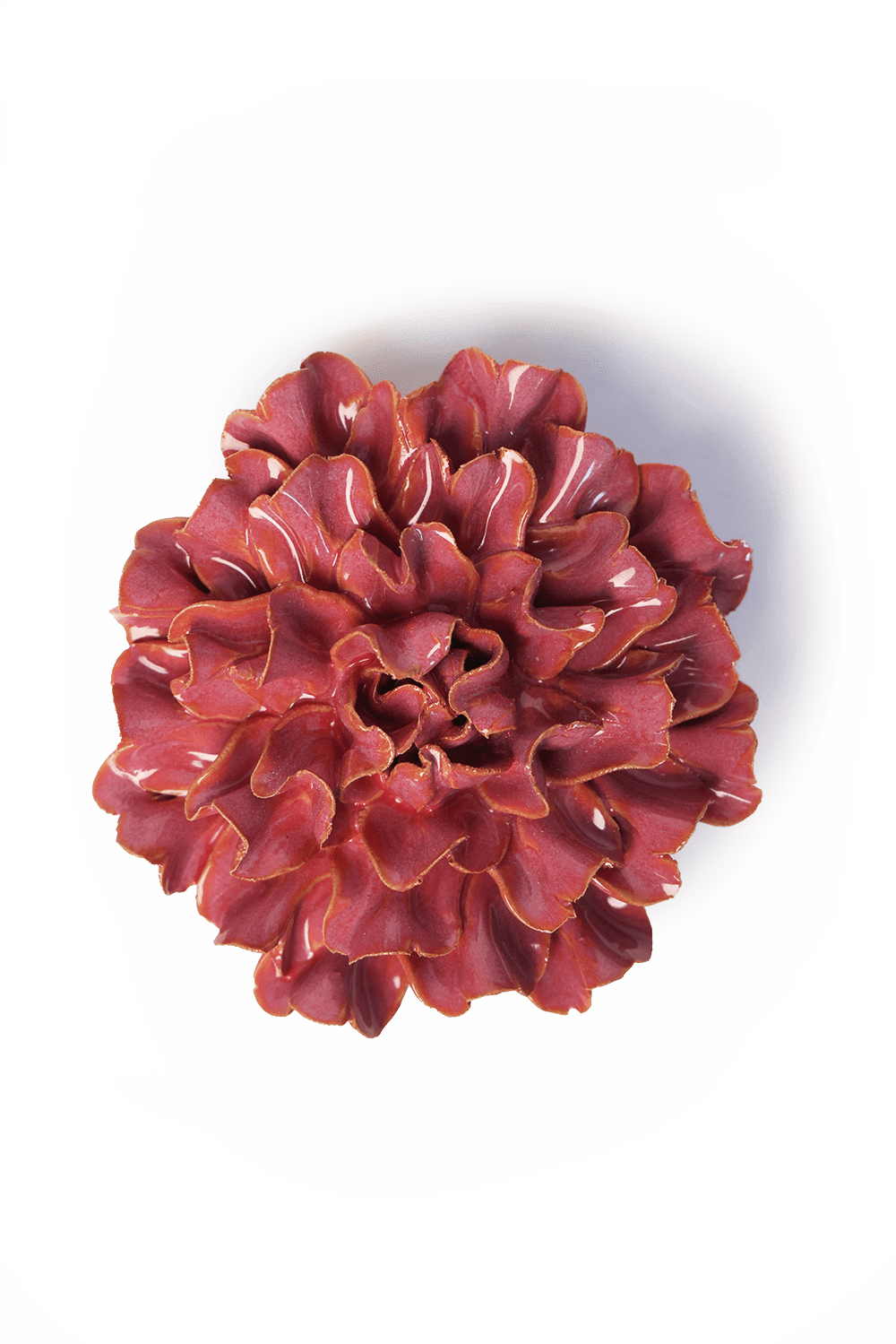 Blush Pink Tundra Carnation - Chive UK