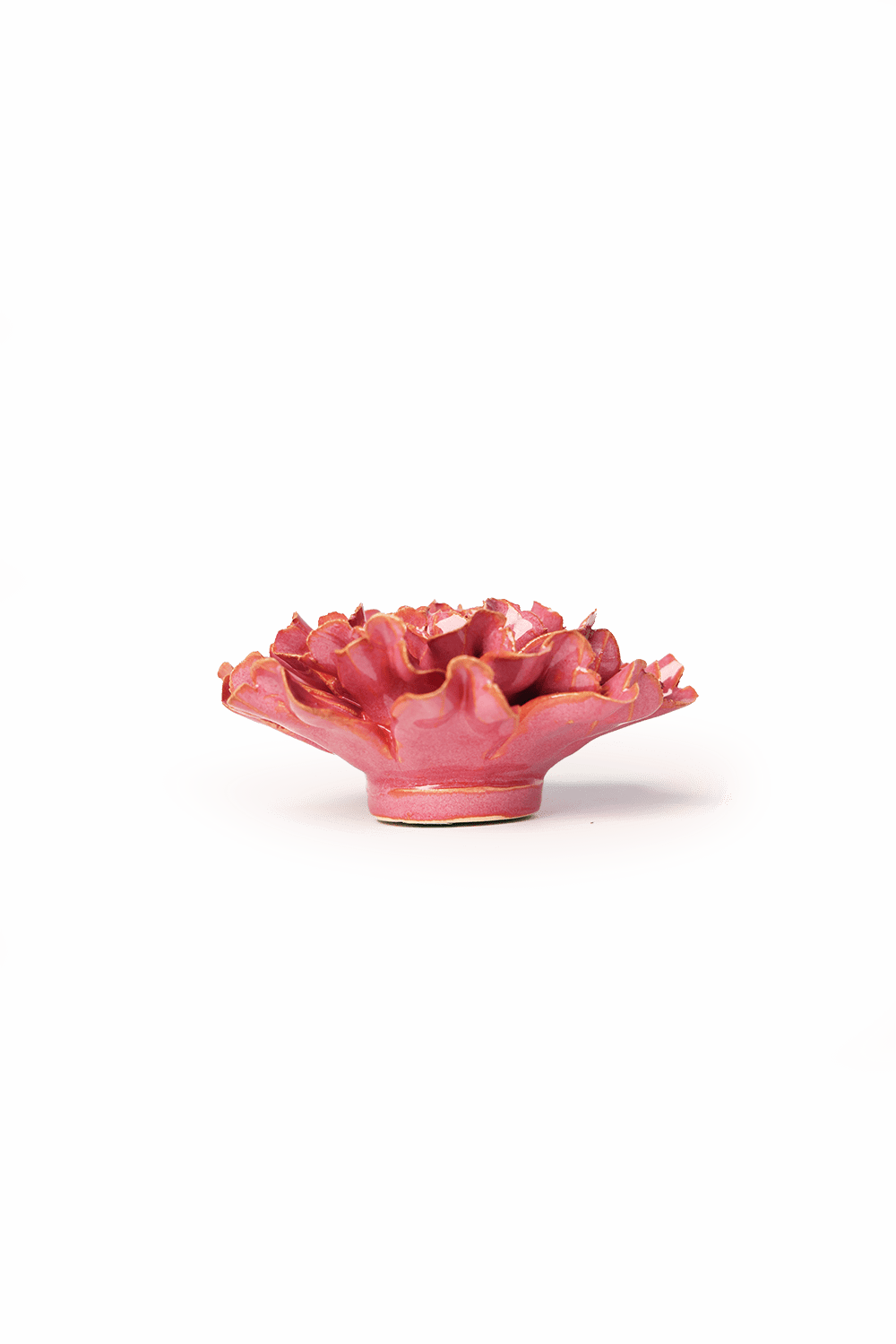 Blush Pink Tundra Carnation - Chive UK