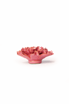 Blush Pink Tundra Carnation - Chive UK