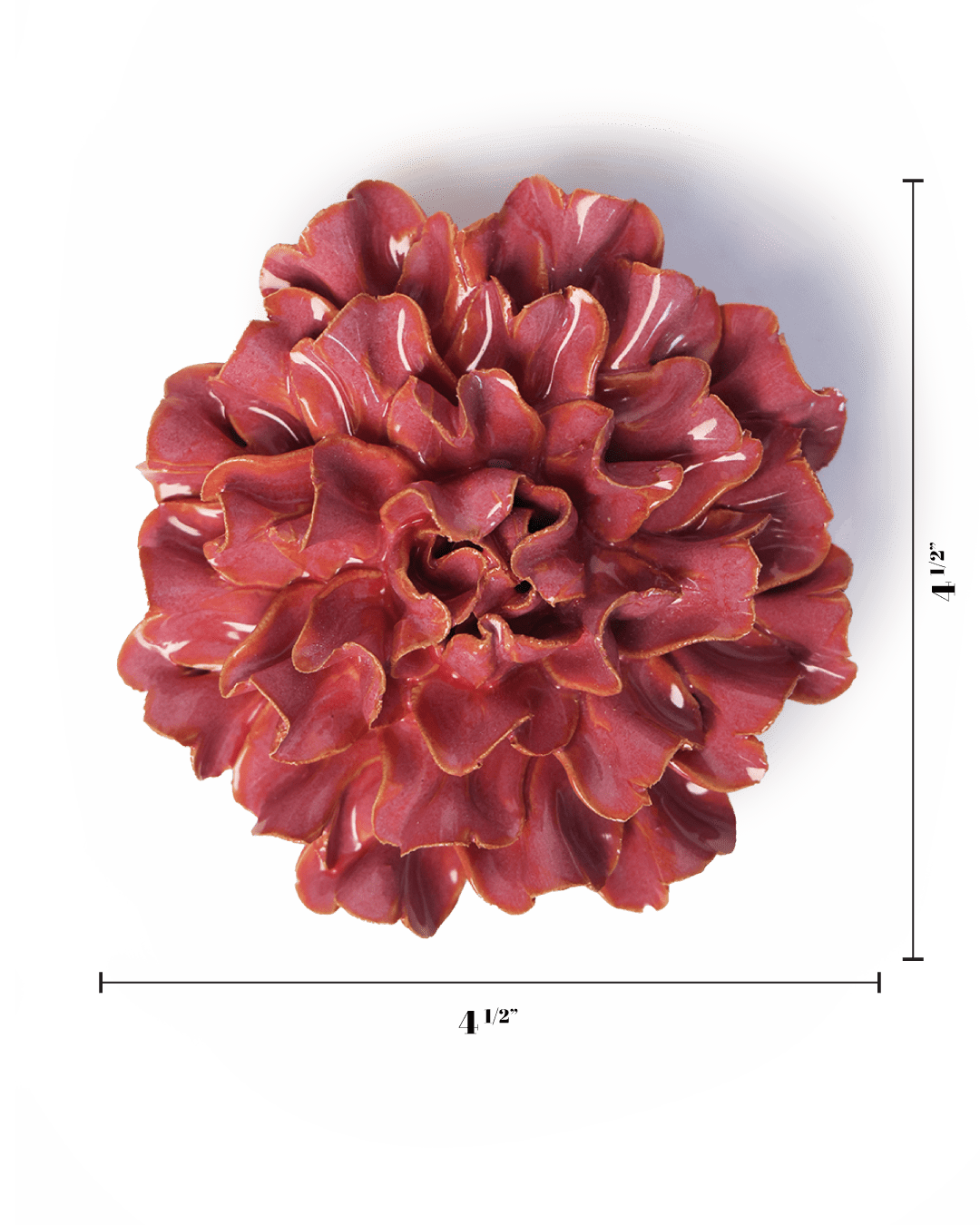 Blush Pink Tundra Carnation - Chive UK