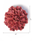 Blush Pink Tundra Carnation - Chive UK