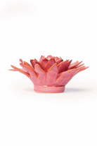 Blush Pink Strawflower - Chive UK