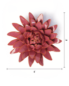 Blush Pink Strawflower - Chive UK