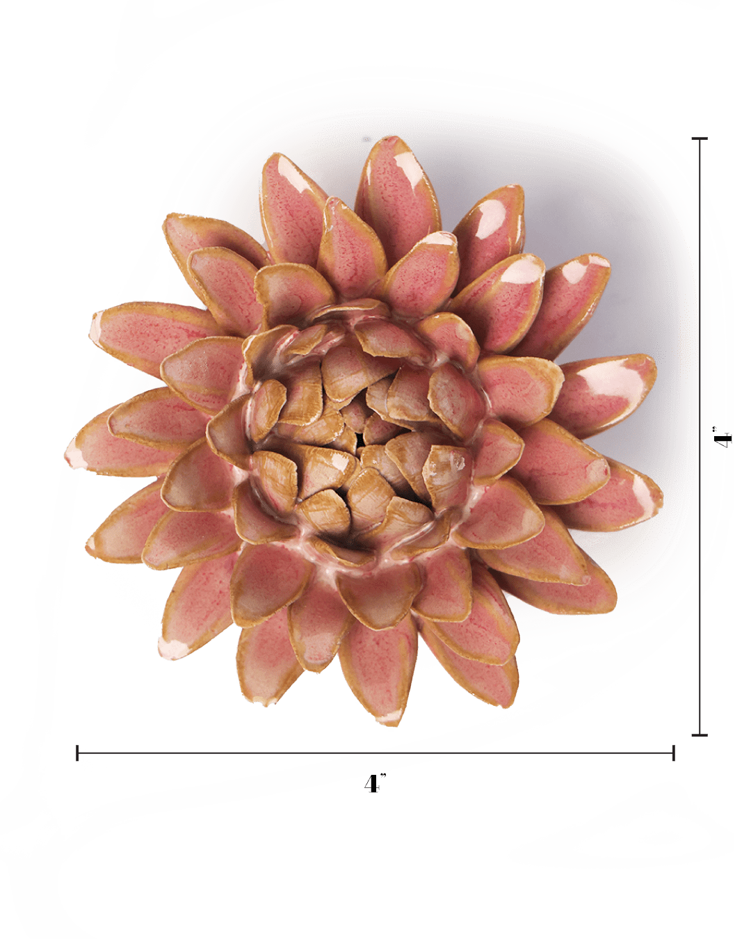 Rose Quartz Pink Strawflower - Chive UK