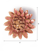 Rose Quartz Pink Strawflower - Chive UK