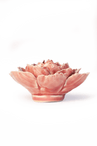 Champagne Pink English Rose - Chive UK