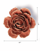 Champagne Pink English Rose - Chive UK