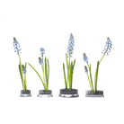 Kenzan Metal Floral Frogs For Ikebana - Chive UK