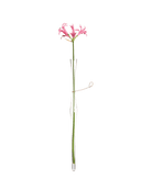 Pew Glass Modern Clear Flower Vase - Chive UK