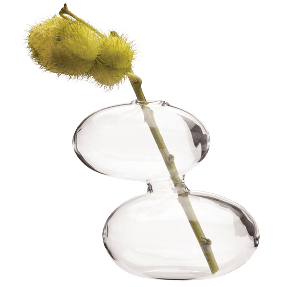 Raygun Glass Modern Clear Flower Vase - Chive UK