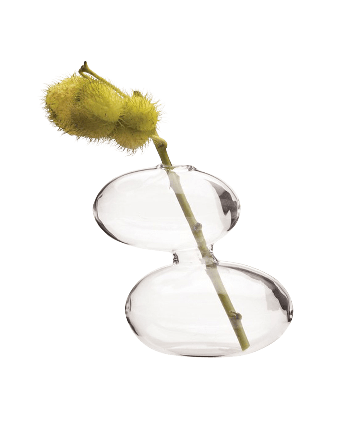 Raygun Glass Modern Clear Flower Vase - Chive UK
