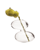 Raygun Glass Modern Clear Flower Vase - Chive UK