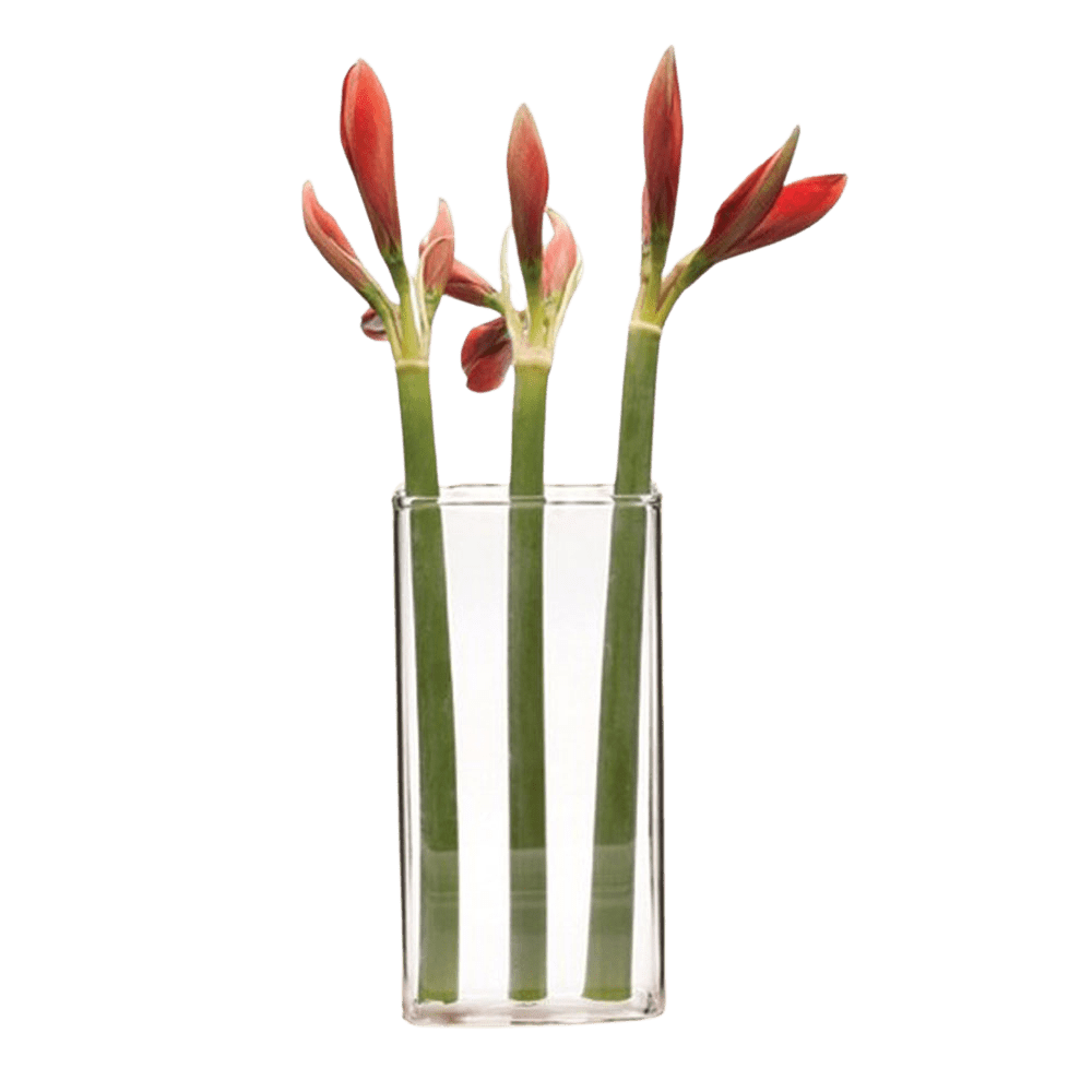 Wall Brick Glass Modern Clear Flower Vase - Chive UK