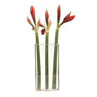 Wall Brick Glass Modern Clear Flower Vase - Chive UK