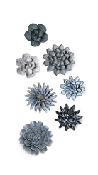 Greenport - Ceramic Flower Curated Set - Chive UK