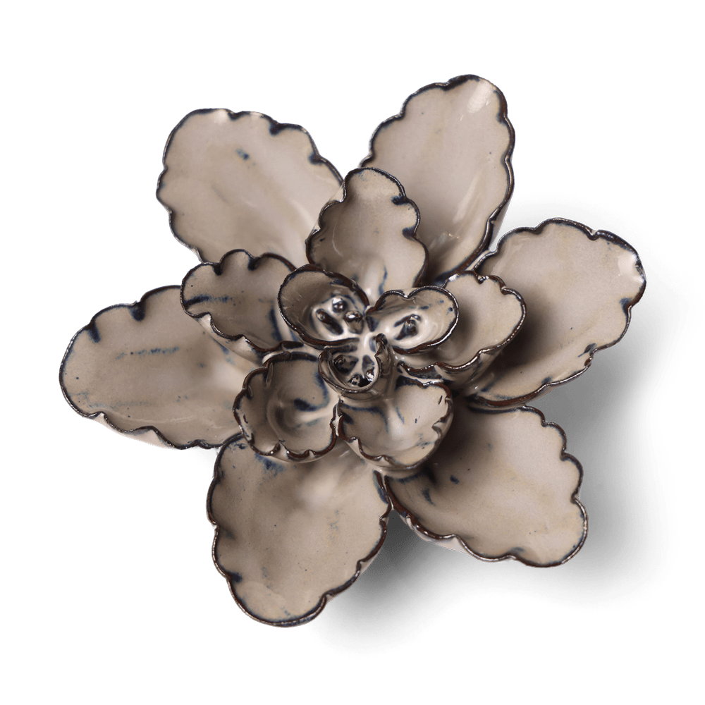 Japan Ceramic Flower Ecru Cactus Flower - Chive UK