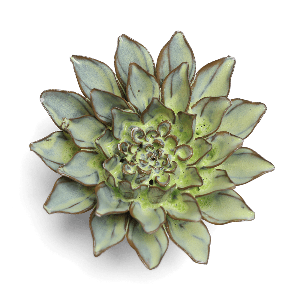 Japan Ceramic Flower Green Aster - Chive UK