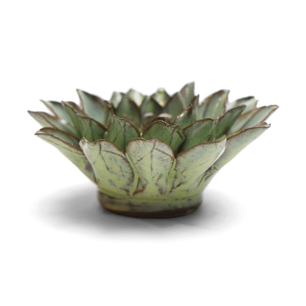 Japan Ceramic Flower Green Aster - Chive UK