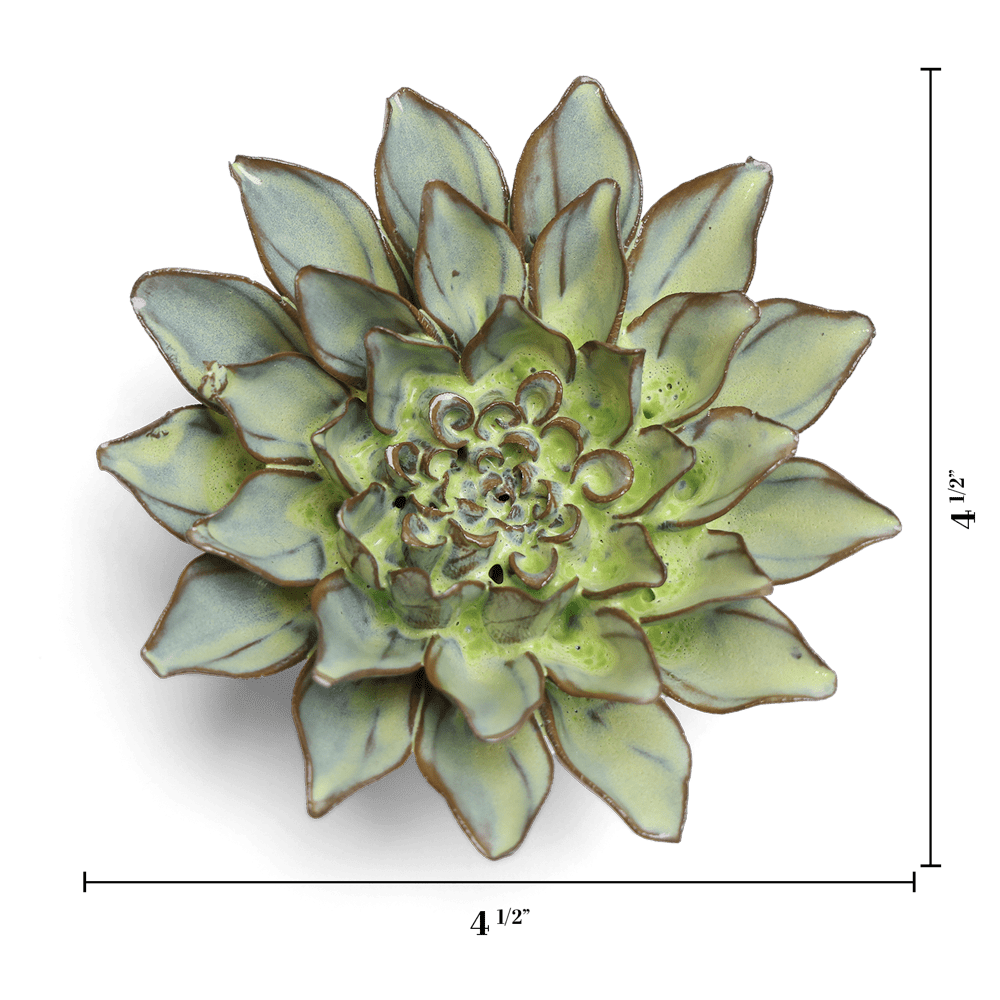 Japan Ceramic Flower Green Aster - Chive UK