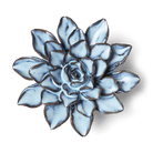 Japan Ceramic Flower Blue Brown Aster - Chive UK
