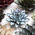 Japan Ceramic Flower Blue Brown Aster - Chive UK