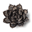 Japan Ceramic Flower Cream Succulent - Chive UK