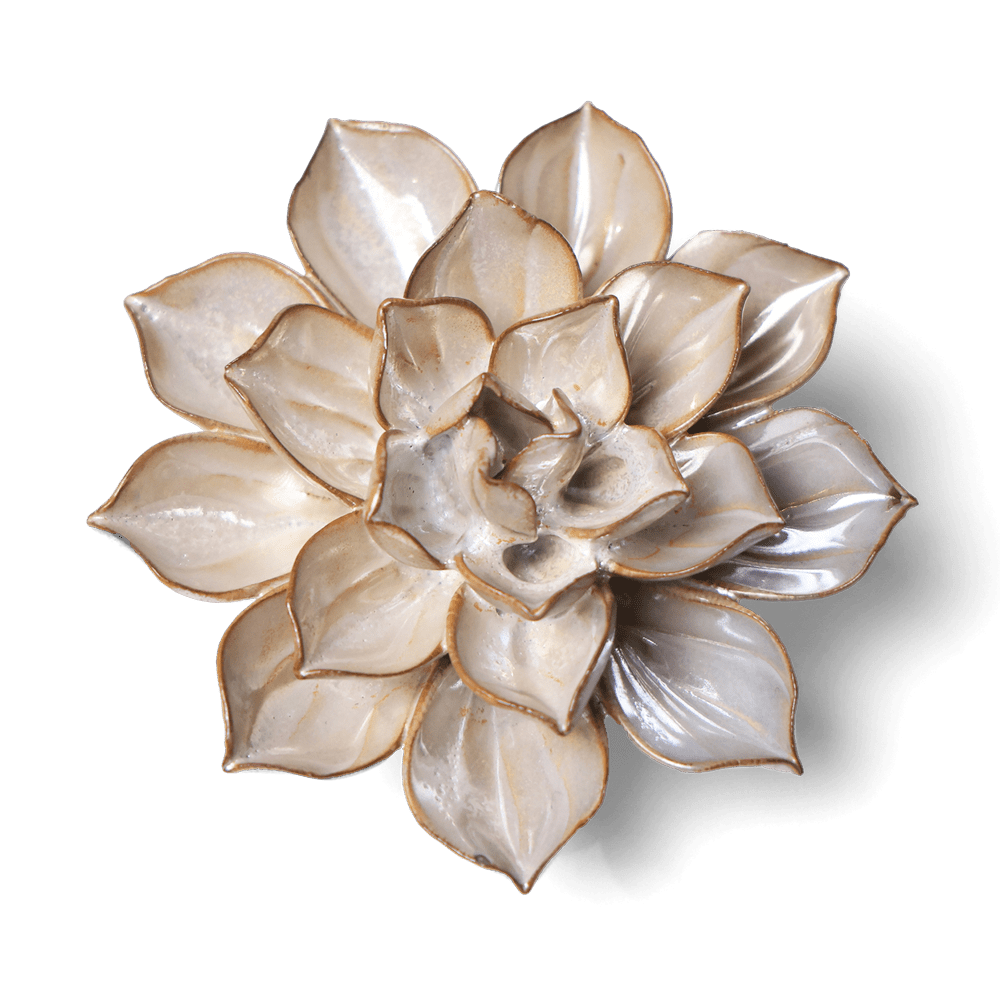 Japan Ceramic Flower Pearl Aster - Chive UK