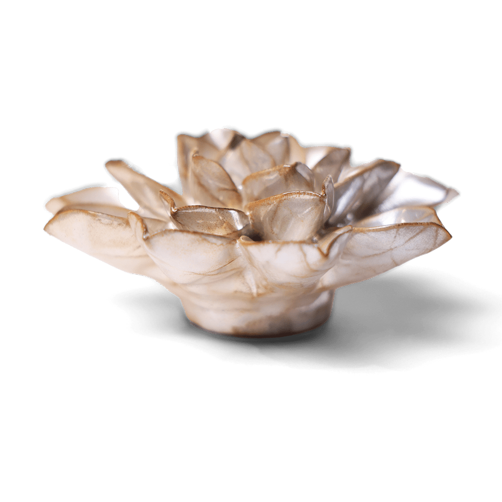 Japan Ceramic Flower Pearl Aster - Chive UK