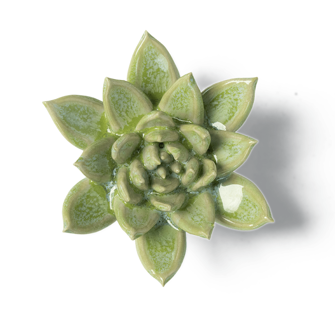 Japan Ceramic Flower Green Succulent - Chive UK