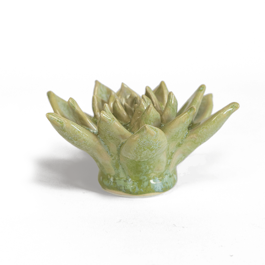 Japan Ceramic Flower Green Succulent - Chive UK