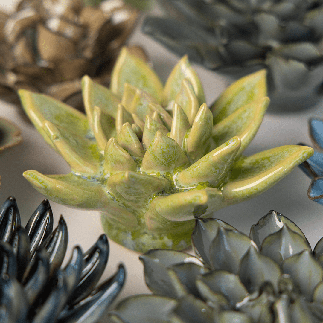 Japan Ceramic Flower Green Succulent - Chive UK