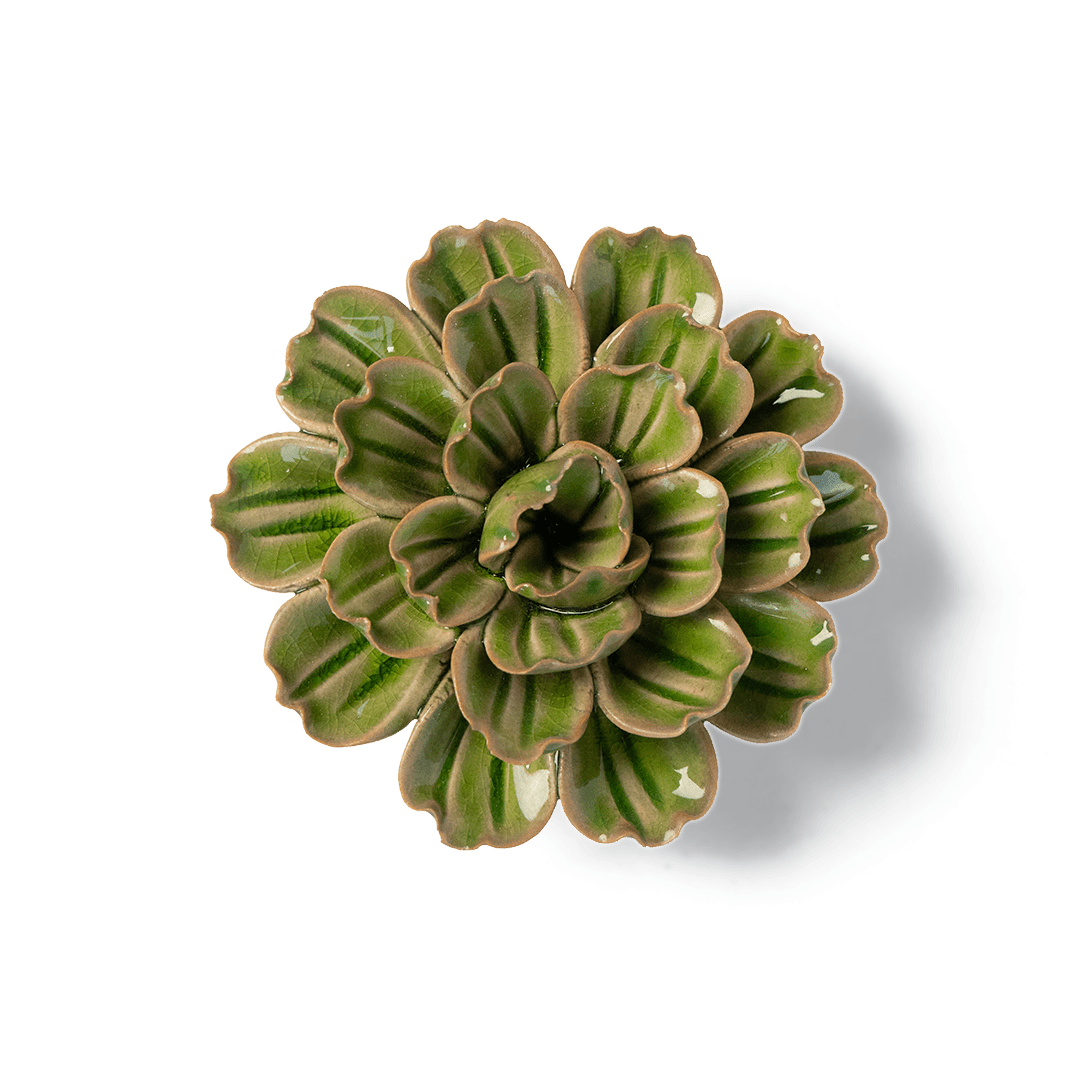 Japan Ceramic Flower Olive Petunia - Chive UK